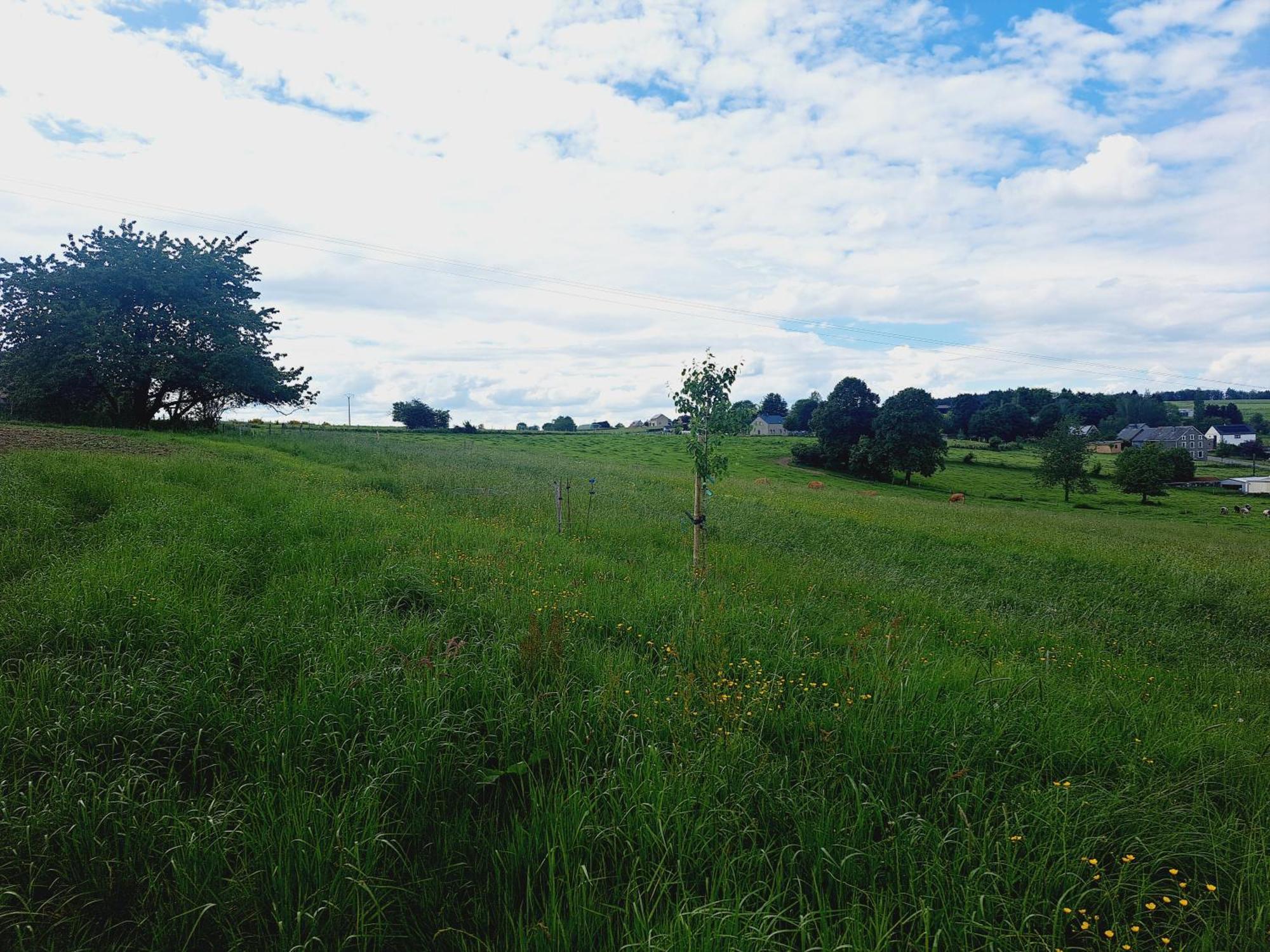 Bertogne*Au Refuge Ardennais*公寓 外观 照片